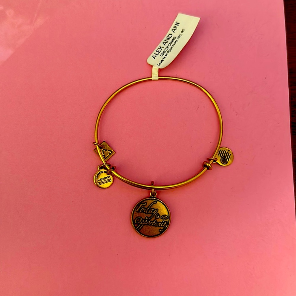 Brand new never been worn Alex and Ani bracelet!